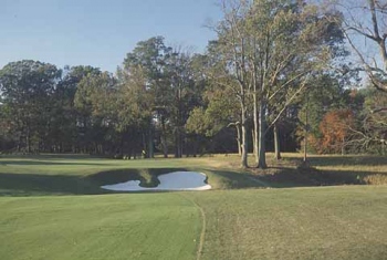 Riverfront Golf Club, Hole 8