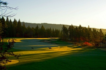 Tumble Creek, 3rd hole, morning