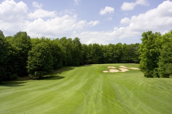 Black Forest, 9th hole