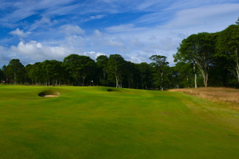 The Renaissance Club, 15th green-site
