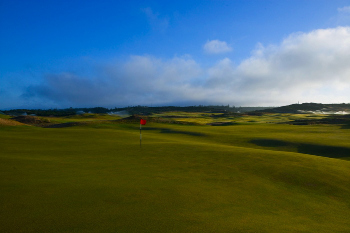 Old Macdonald, 8th green
